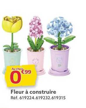 Fleur à Construire
