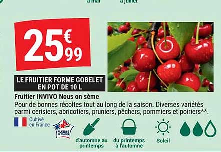 fruitier invivo nous on sème