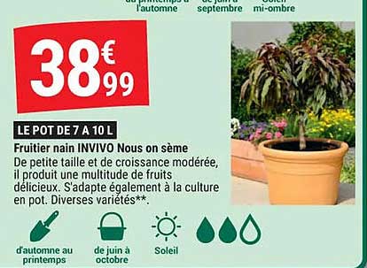 fruitier nain invivo nous on sème