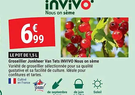 grisseillier jonkheer van tets invivo nous on sème