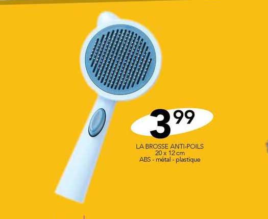 la brosse anti-poils 20 x 12 cm