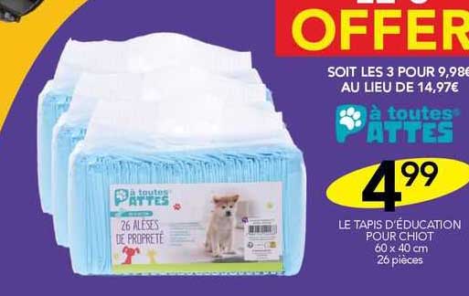 le tapis d'éducation pour chiot