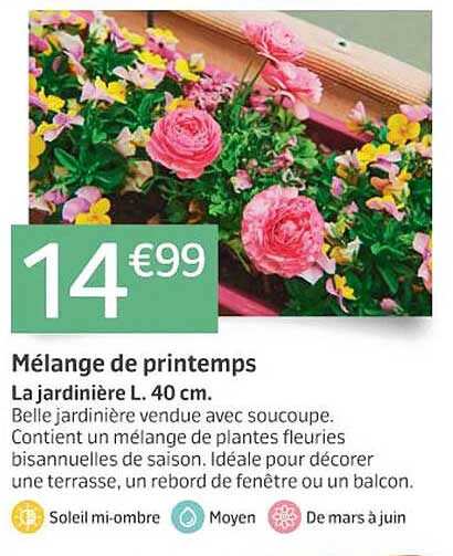 Mélange De Printemps