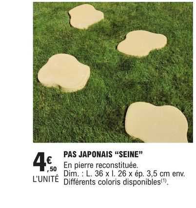 pas japonais "seine"