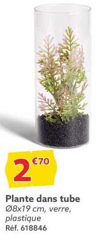 plante dans tube