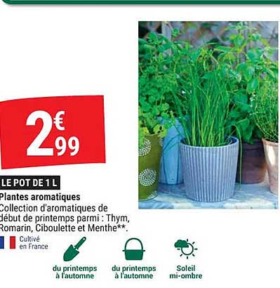 Plantes Aromatiques