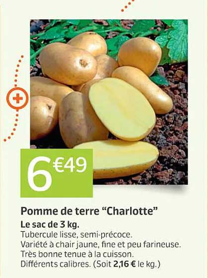pomme de teree "charlotte" le sac de 3 kg