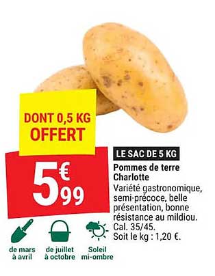 pommes de terre charlotte