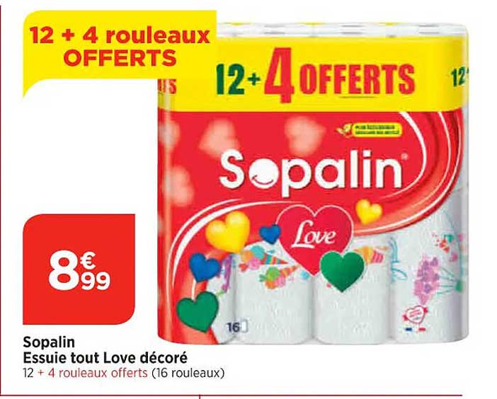 sopalin essuie-tout love décoré