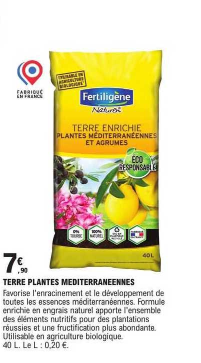 terre plantes mediterraneennes