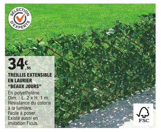 treillis extensible en laurier "beaux jours"