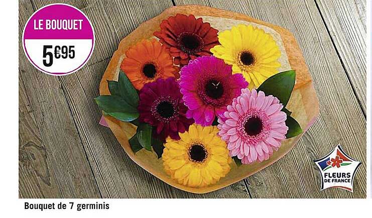 bouquet de 7 germinis