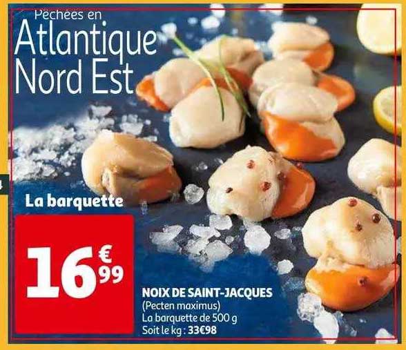 noix de saint-jacques