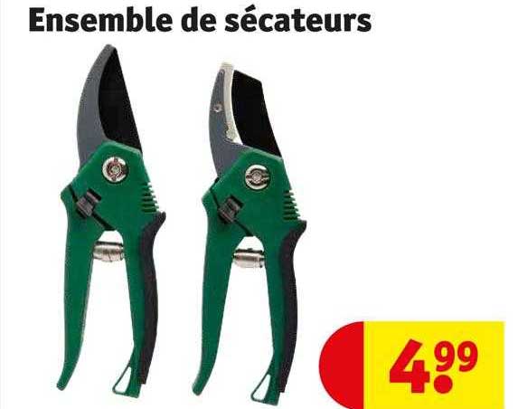 Ensemble De Sécateurs