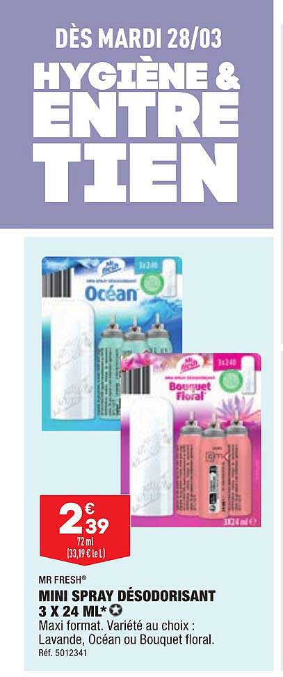 min spray désodorisant 3 x 24 ml mr fresh