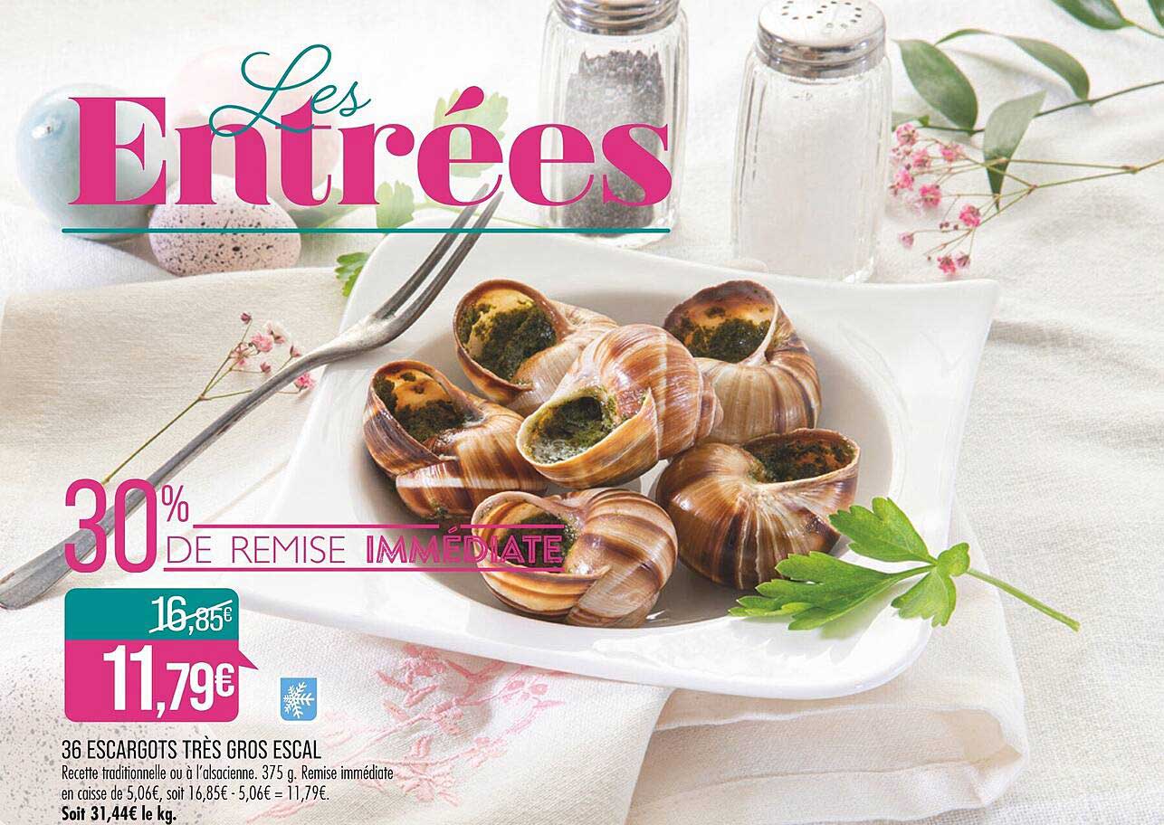 36 escargots très gros escal