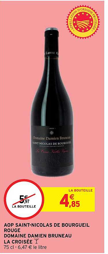 aop saint-nicolas de bourgueil rouge domaine damien bruneau