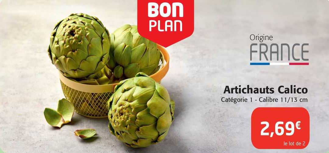 artichauts calico