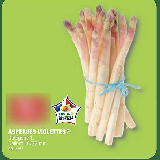 Asperges Violettes