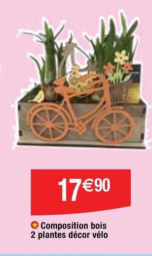 Composition Bois 2 Plantes Décor Vélo