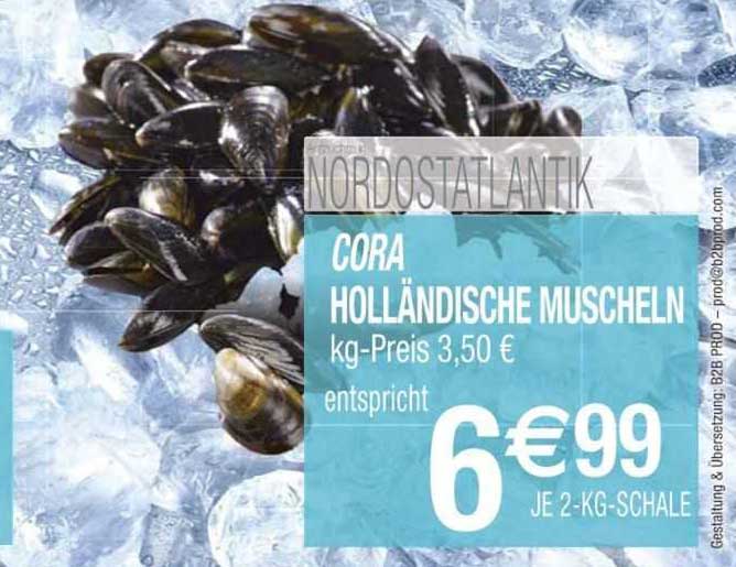 Cora Holländische Muscheln
