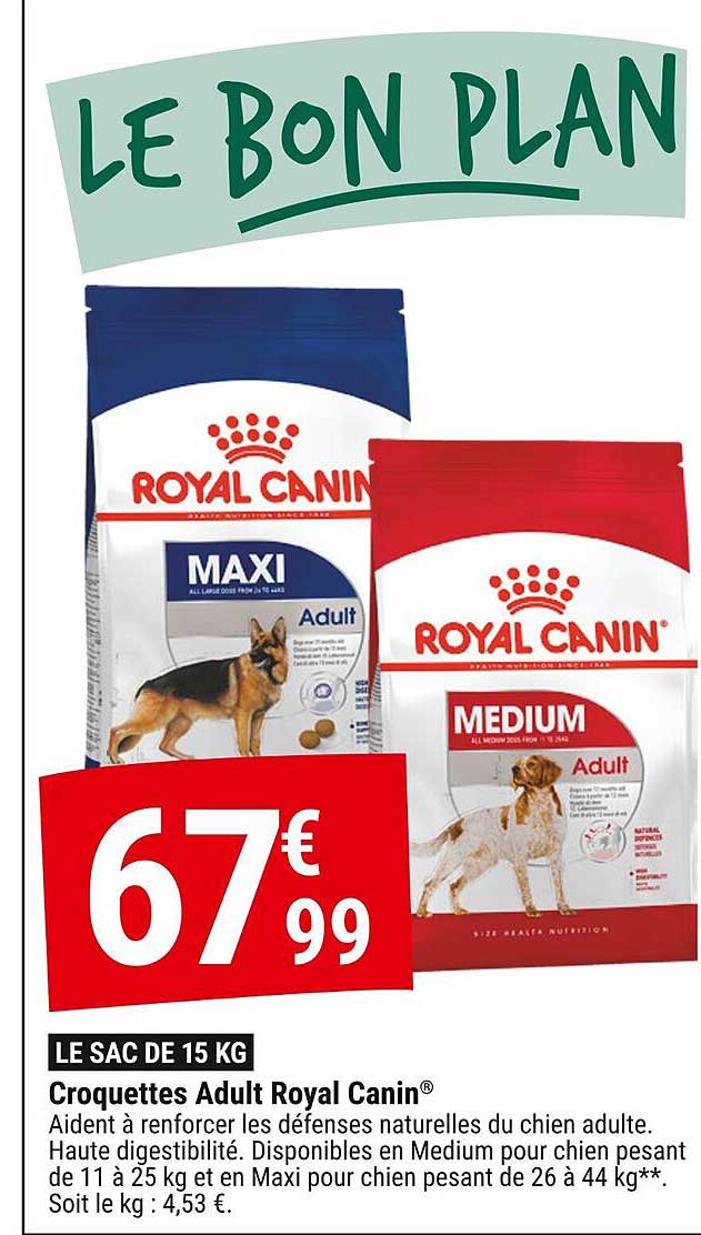 croquettes adult royal canin