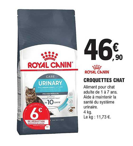 croquettes chat royal canin