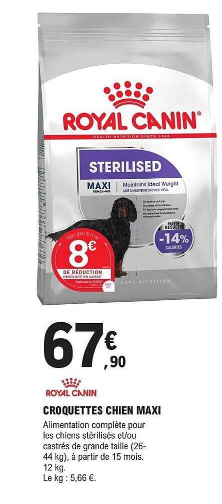 croquettes chien maxi royal canin