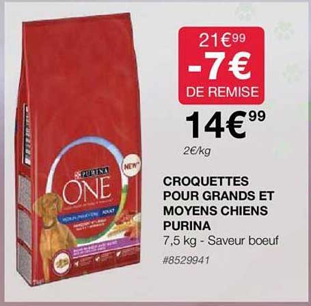 croquettes pour grands et moyens chiens purina