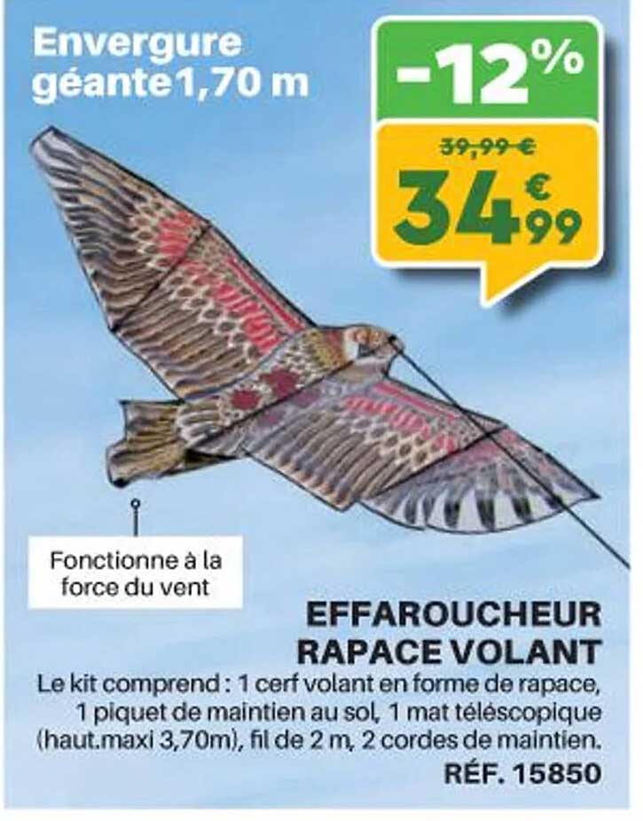 effaroucheur rapace volant