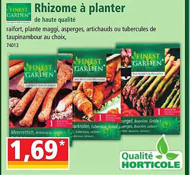 finest garden rhizome à planter