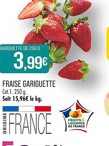 fraise gariguette