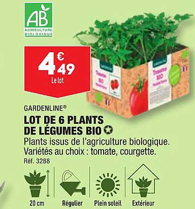 gardenline lot de 6 plants de légumes bio
