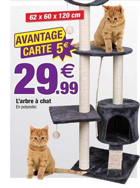 l'arbre à chat