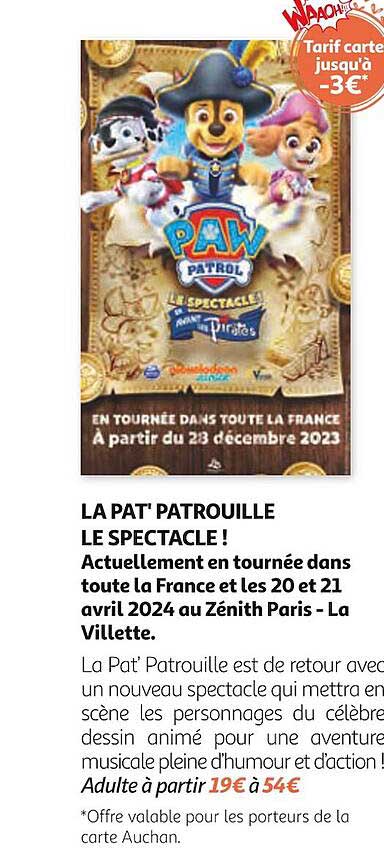 la pat' patrouille le spéctable