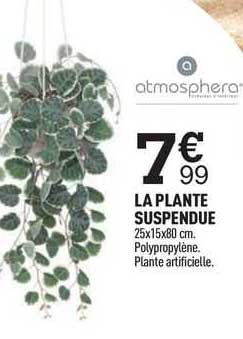 La Plante Suspendue
