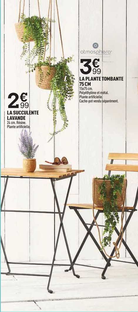 la succulente lavande, la plante tombante 75 cm