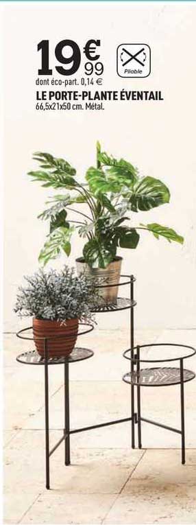 le porte-plante éventail