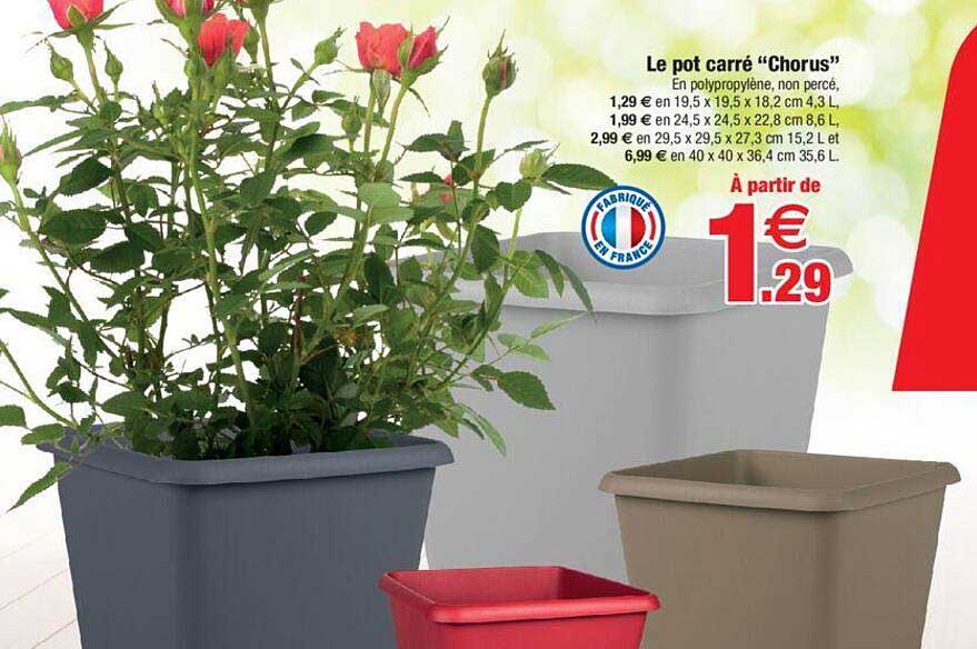 le pot carré "chorus"