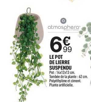 le pot de lierre suspendu