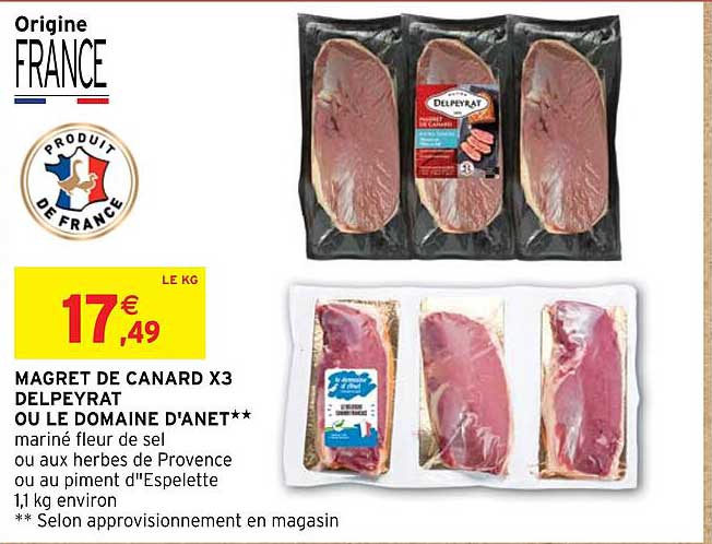 magret de canard x 3 delpeyrat ou le domaine d'anet