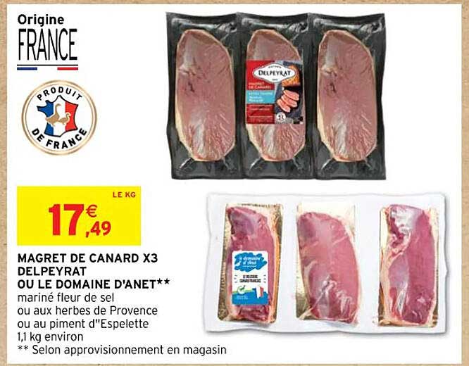 magret de canard x3 delpeyrat ou le domaine d'anet