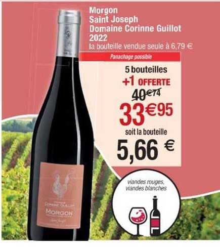 morgon saint joseph domaine corinne gullot 2022