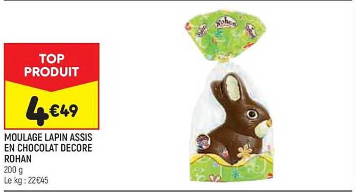 moulage lapin assis en chocolat décore rohan