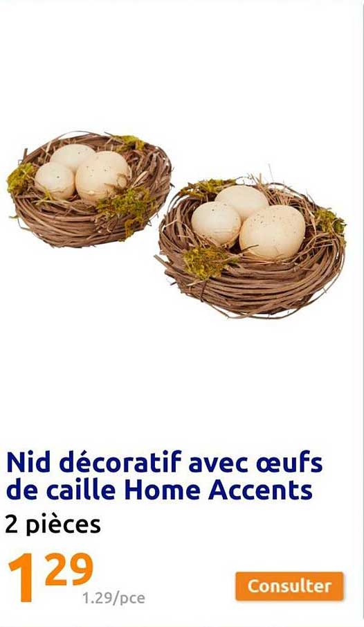 nid décoratif avec œufs de caille home accents