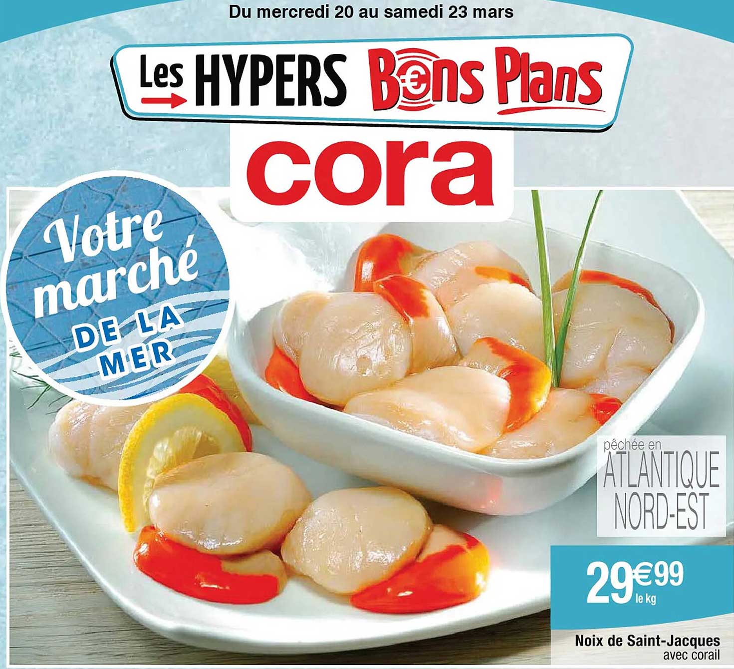 noix de saint-jacques