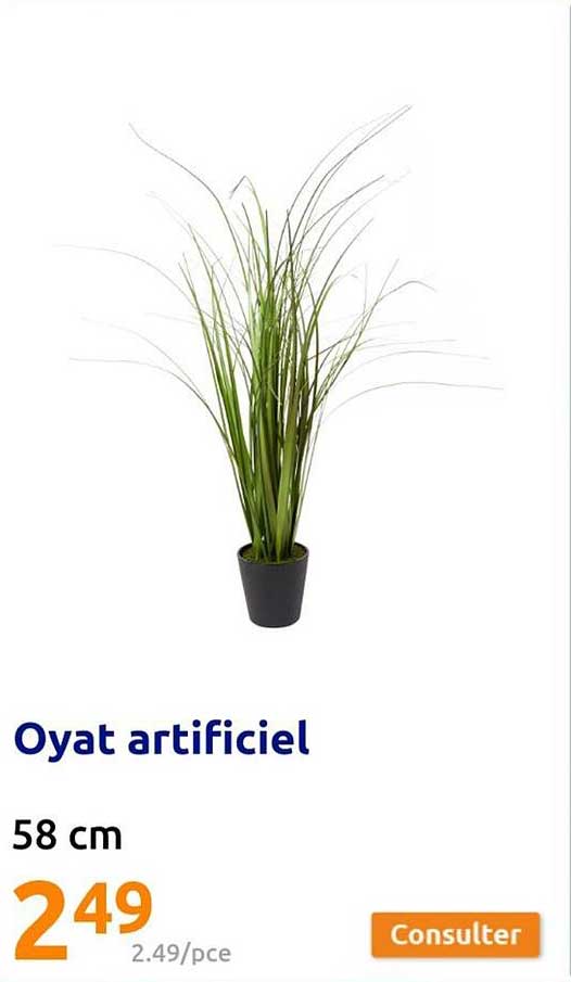 oyat artificiel
