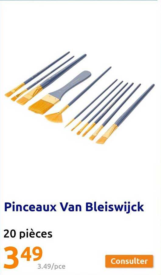 Pinceaux Van Bleiswijck