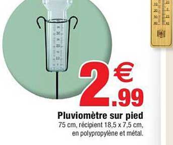 Pluviomètre Sur Pied
