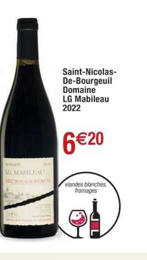 saint-nicolas-de-bourgeuil domaine lg mabileau 2022